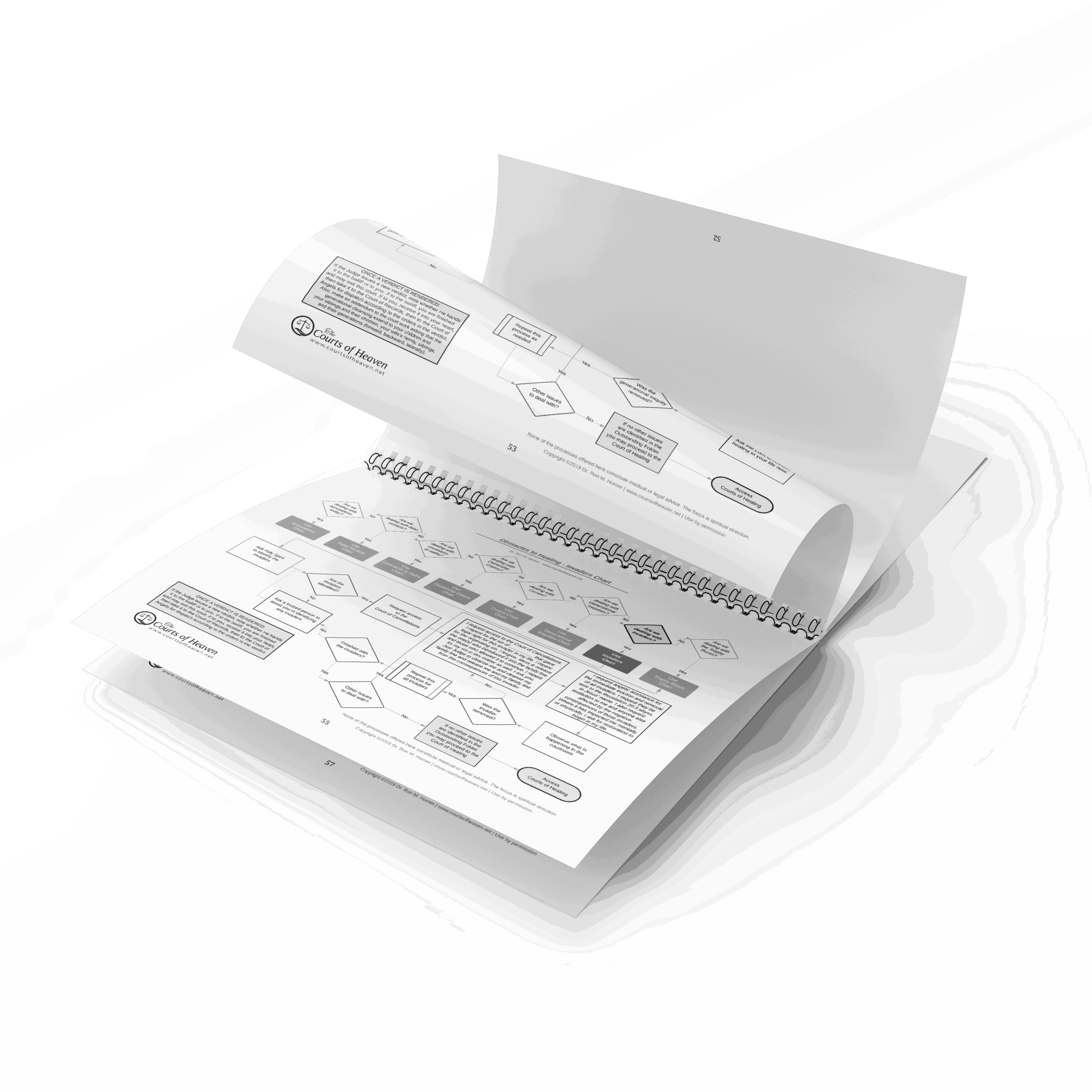 Courts of Heaven Process Charts (Spiral Edition) - Image 3