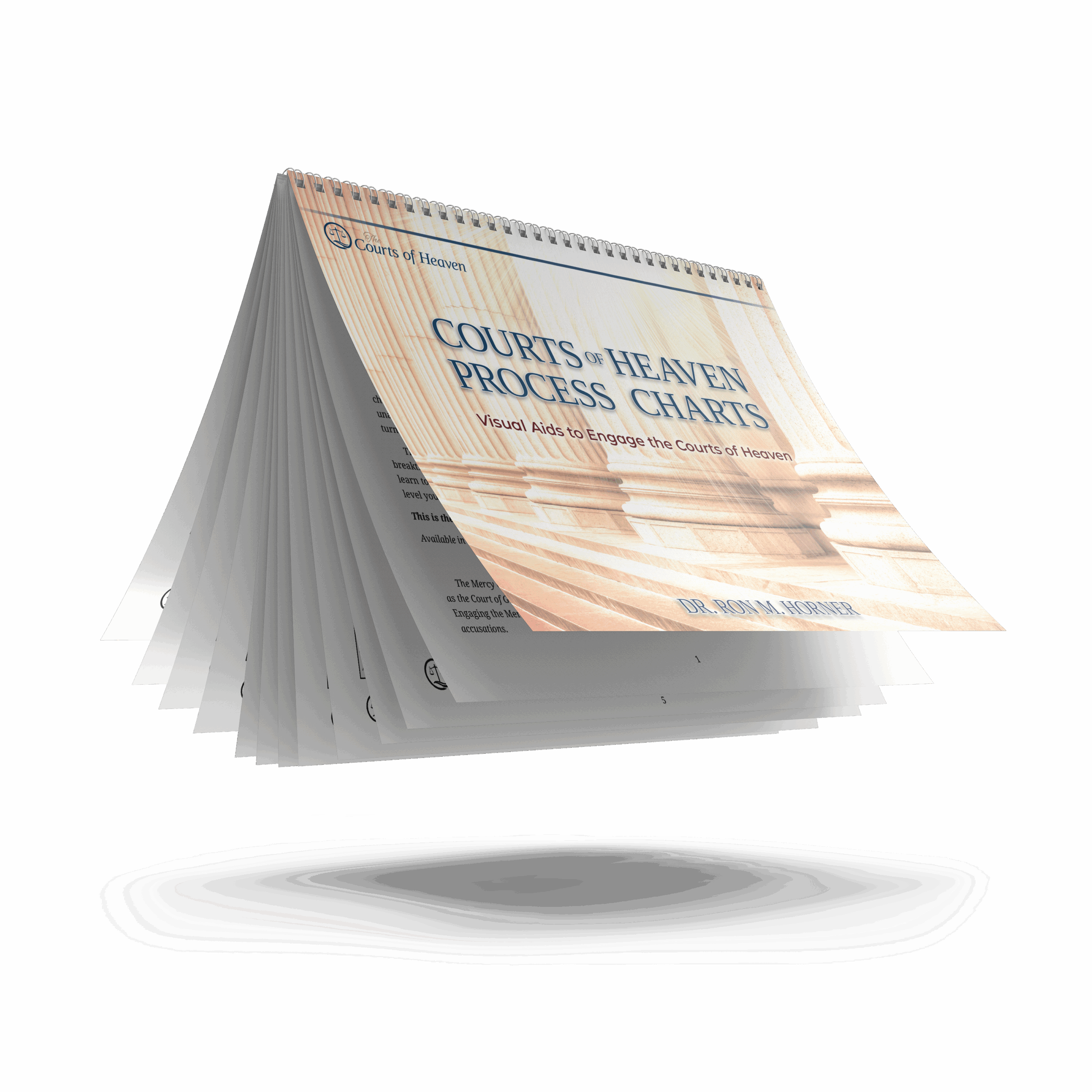 Courts of Heaven Process Charts (Spiral Edition) - Image 2