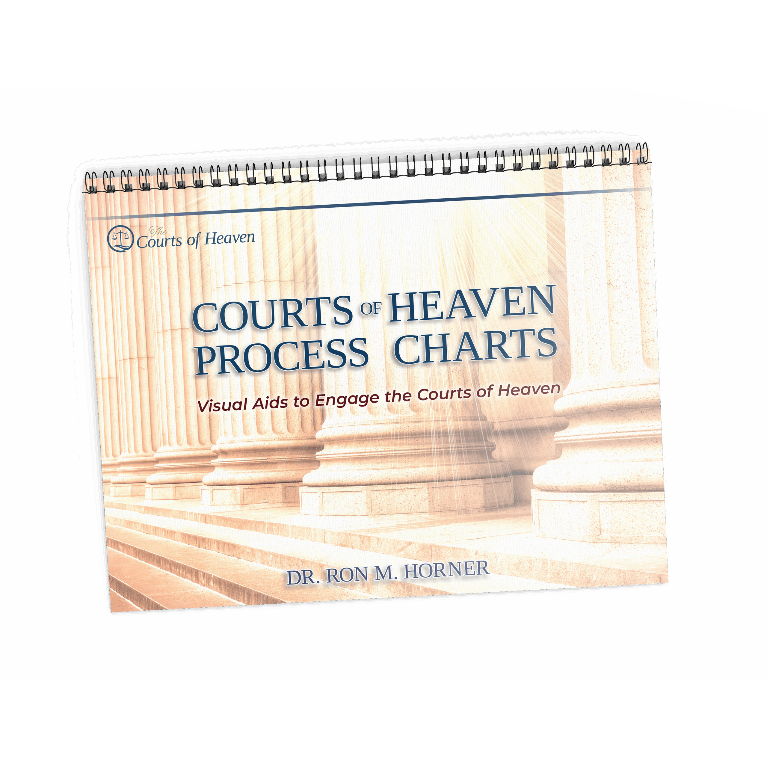 Courts of Heaven Process Charts (Spiral Edition)