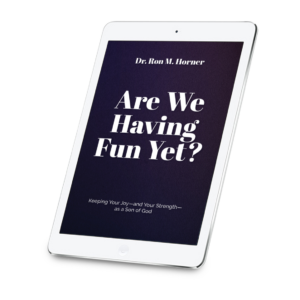 Are We Having Fun Yet? (Kindle Edition)