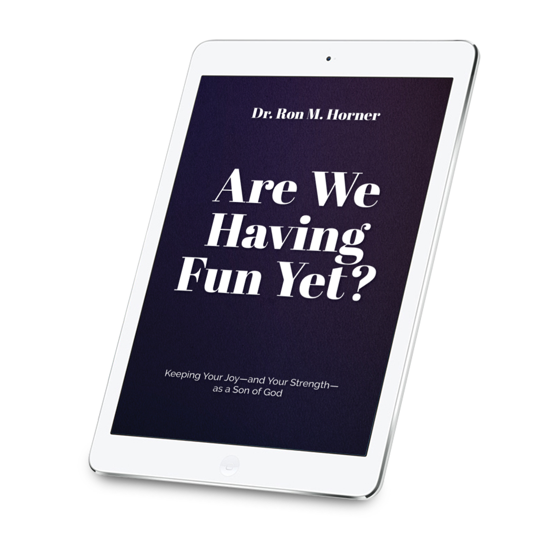 Are We Having Fun Yet? (Kindle Edition)