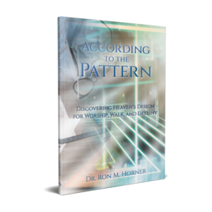 According to the Pattern (Paperback)