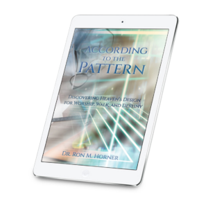 According to the Pattern (Kindle Edition)