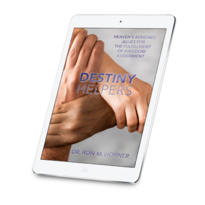 Destiny Helpers (Kindle Edition)