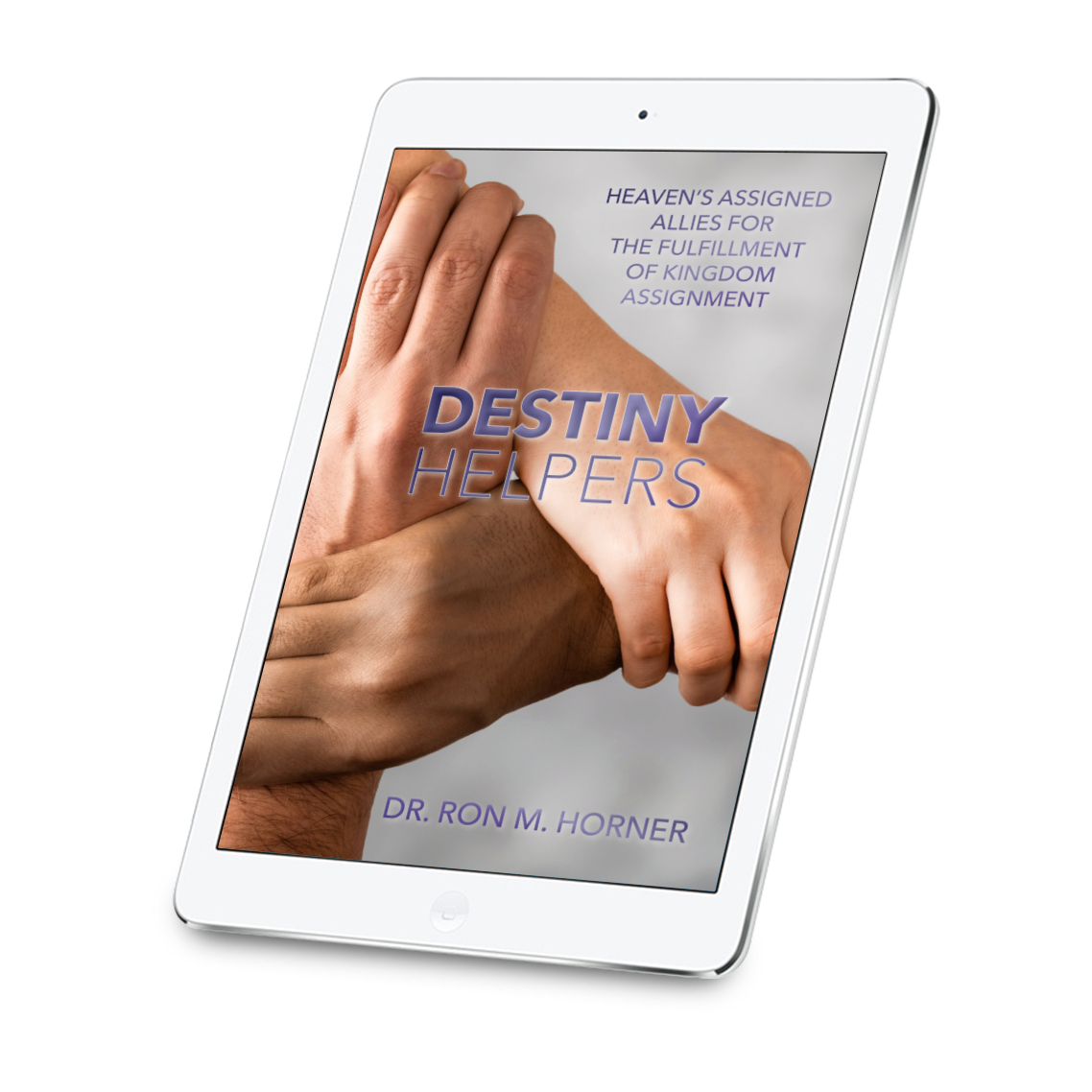 Destiny Helpers (Kindle Edition)