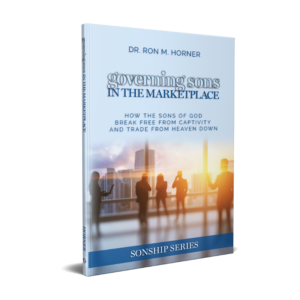 Governing Sons in the Marketplace (Paperback)